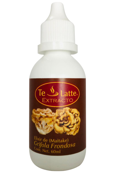 Te Latte Café - Elixir  de Grifola frondosa, MAITAKE